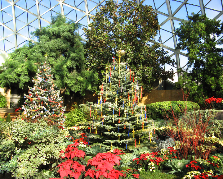Trees decorated by Milwaukee-area Ethnic Groups