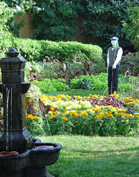 golfer in the park