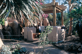 Click to take a tour of the Arid Dome