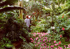 Click to take a virtual tour of the Tropical Dome