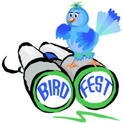 Bird Fest