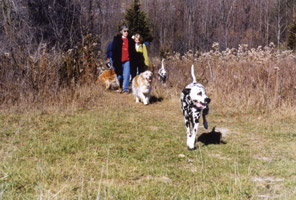 Dogs & their humans at Granville Off-leash Dog Park