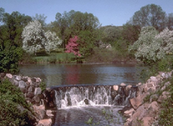 Arboretum at Boerner Botanical Gardens