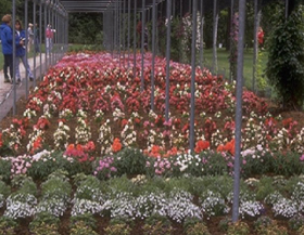 Trial Garden at Boerner Botanical Gardens