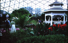 The Show Dome
