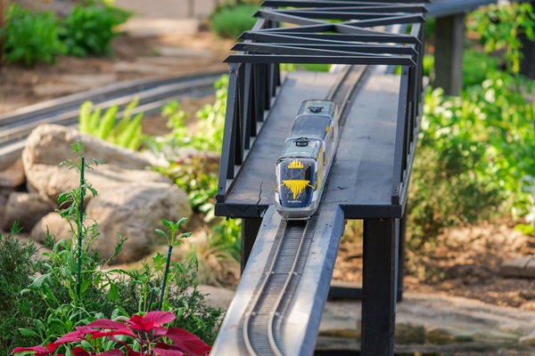 a model train at the Domes show