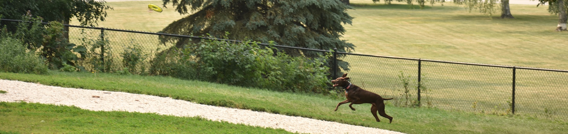 Milwaukee Dog Parks