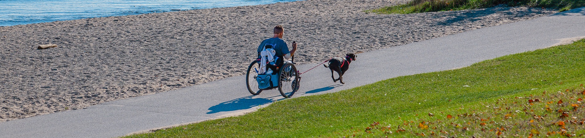dog pulling wheelchair on the Oak Leaf Trail