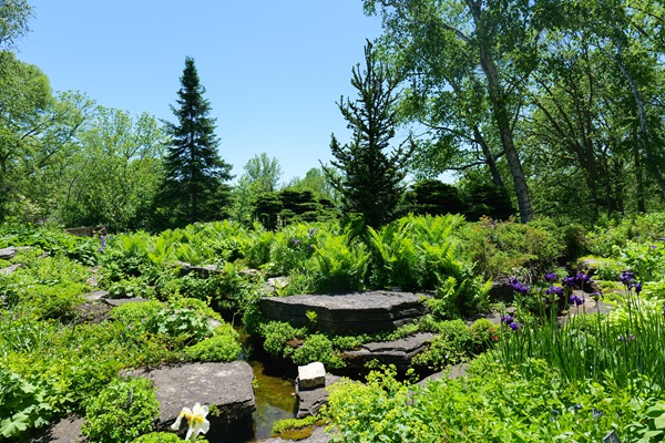 Boerner Botanical Gardens Rock Garden