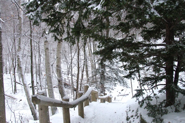 Seven Bridges Trail snow covered steps