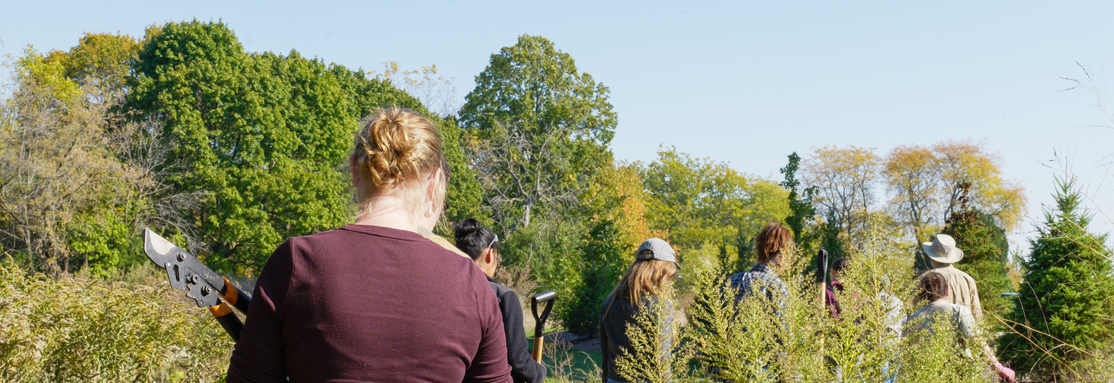 Volunteers walking to weed a park carrying gardening tools