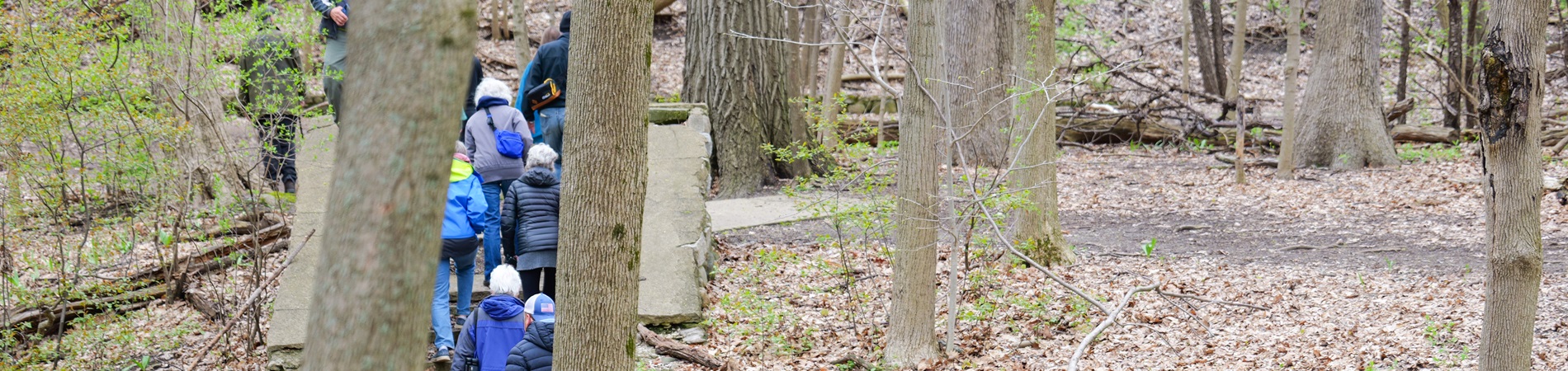 A Walk in the Park at County Grounds Park
