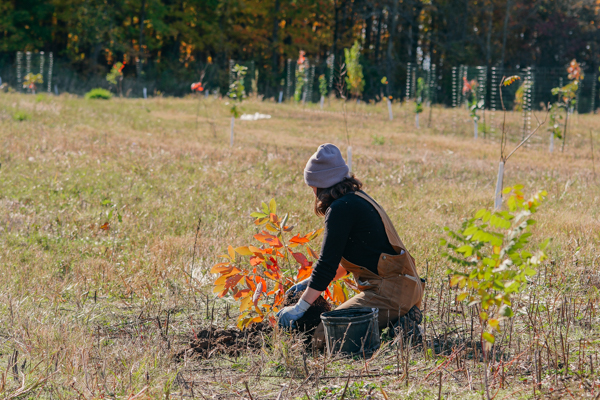 Planting in Milwaukee County Natural Areas