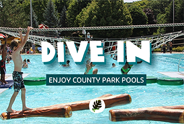 Dive In. Milwaukee County Parks Pools